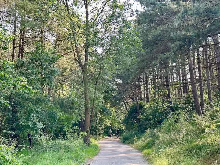 Vakantiehuis 5 Minuten Van Het Strand Knus Prive Huisje