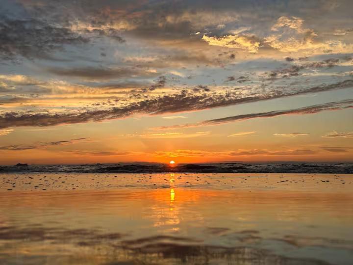 5 Minuten Van Het Strand Knus Prive Huisje Holiday home *